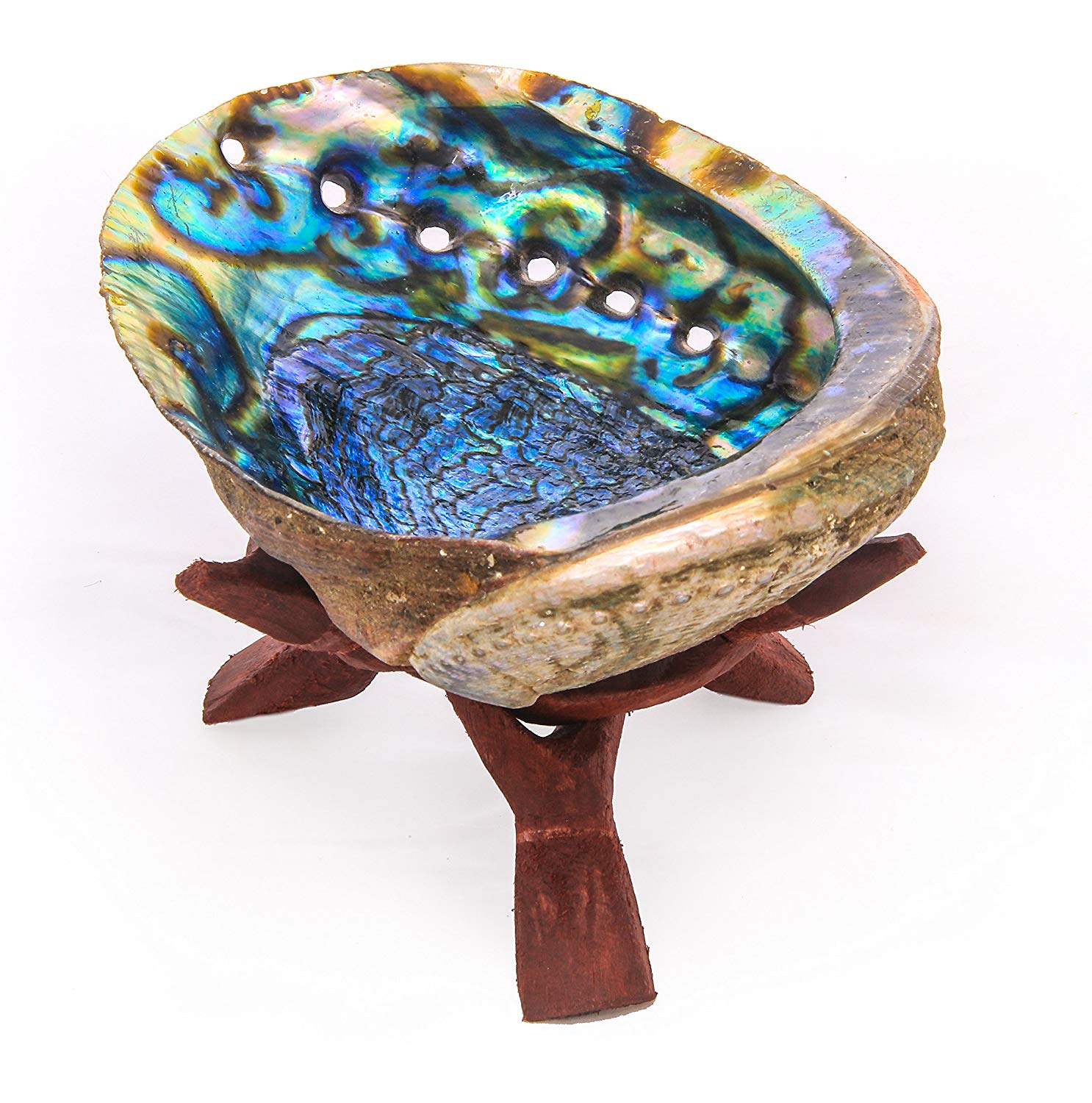 Abalone Shell